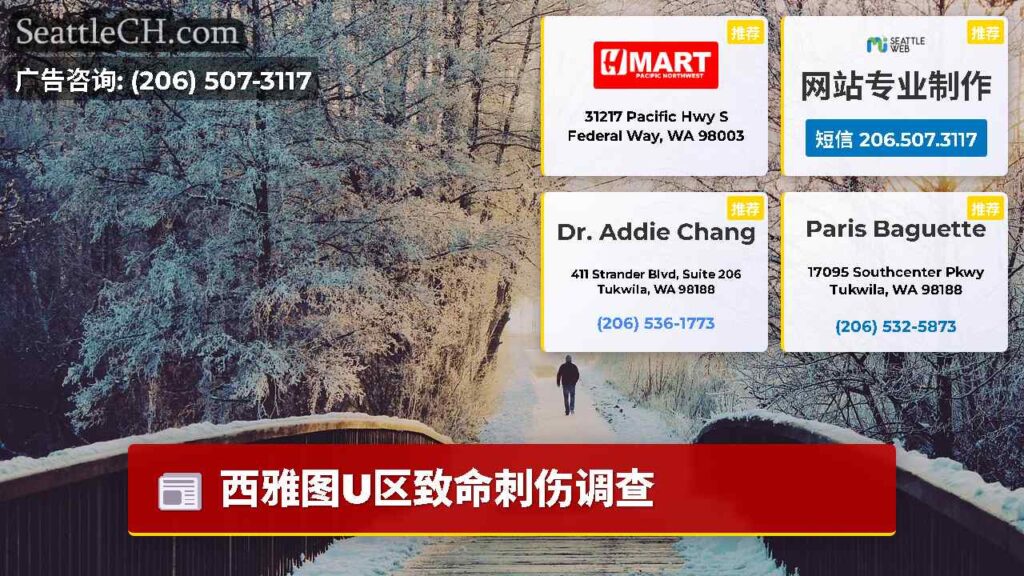 西雅图U区致命刺伤调查