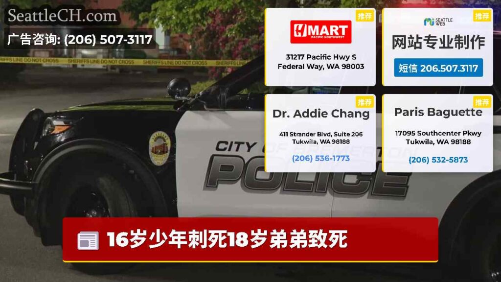 16岁少年刺死18岁弟弟致死