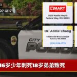 16岁少年刺死18岁弟弟致死