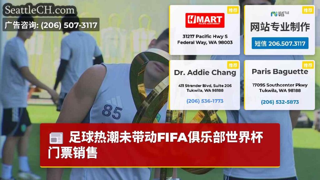 足球热潮未带动FIFA俱乐部世界杯门票销售
