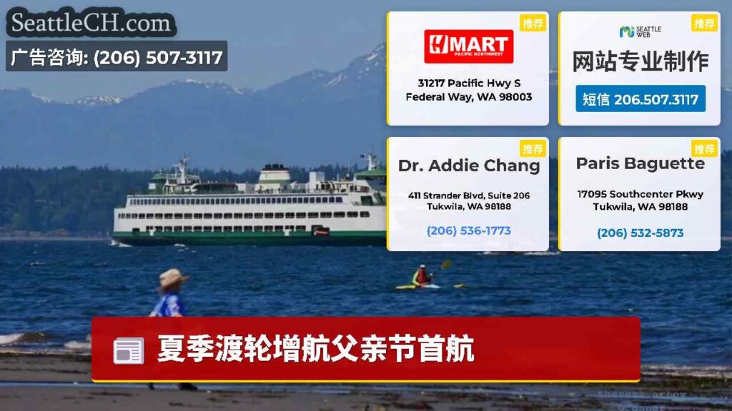 夏季渡轮增航父亲节首航