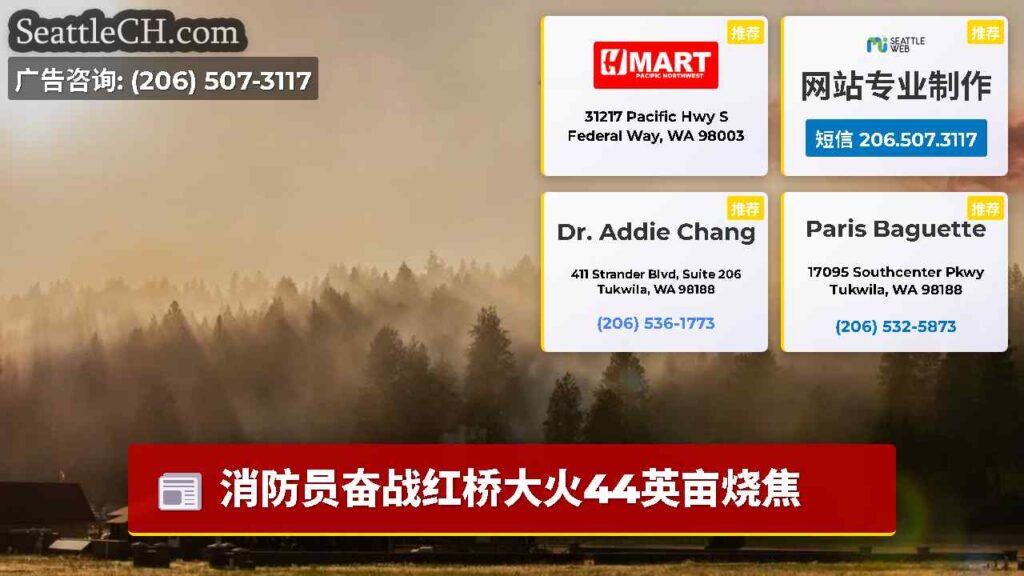 消防员奋战红桥大火44英亩烧焦