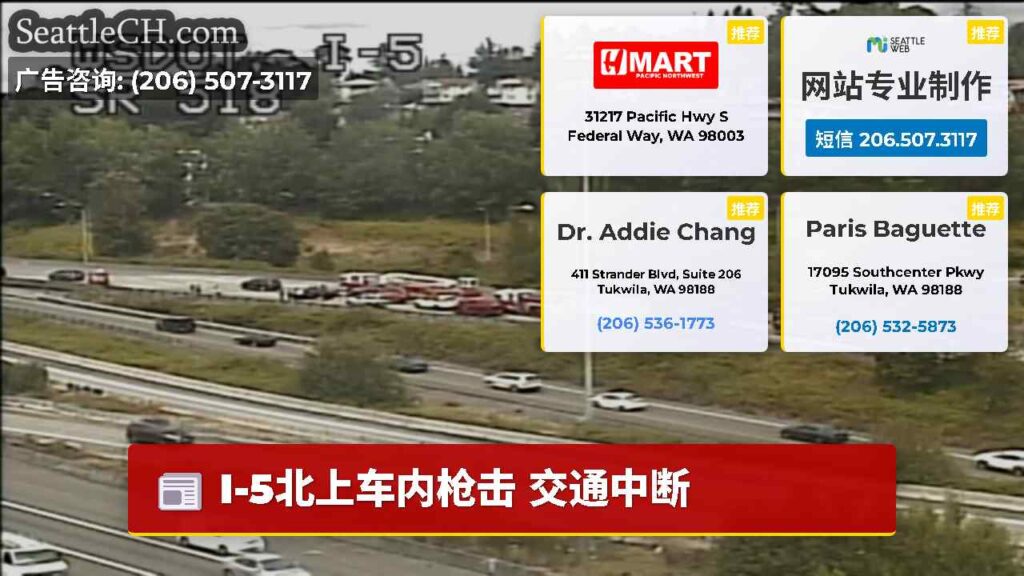 I-5北上车内枪击 交通中断