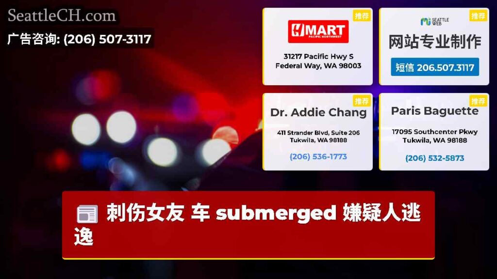 刺伤女友 车 submerged 嫌疑人逃逸