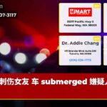 刺伤女友 车 submerged 嫌疑人逃逸