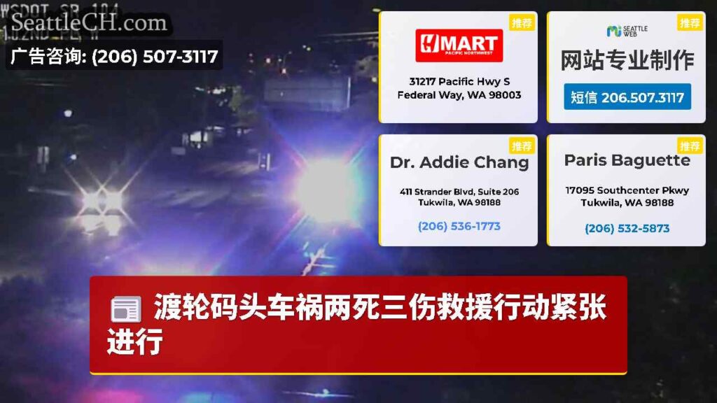 渡轮码头车祸两死三伤救援行动紧张进行