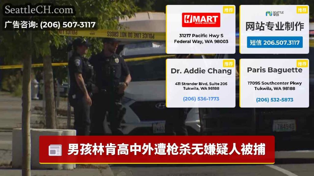 男孩林肯高中外遭枪杀无嫌疑人被捕