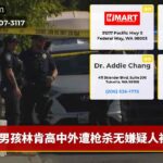 男孩林肯高中外遭枪杀无嫌疑人被捕