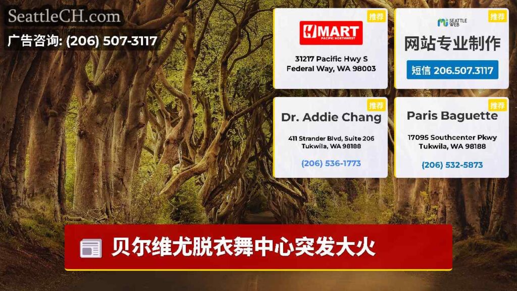 贝尔维尤脱衣舞中心突发大火