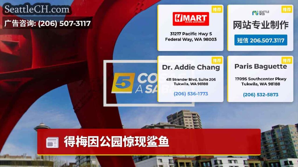 得梅因公园惊现鲨鱼