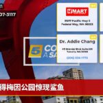 得梅因公园惊现鲨鱼