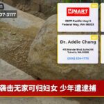 袭击无家可归妇女 少年遭逮捕