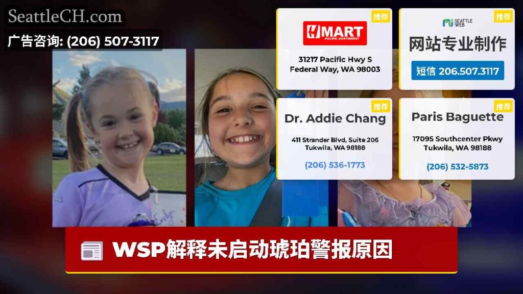 WSP解释未启动琥珀警报原因