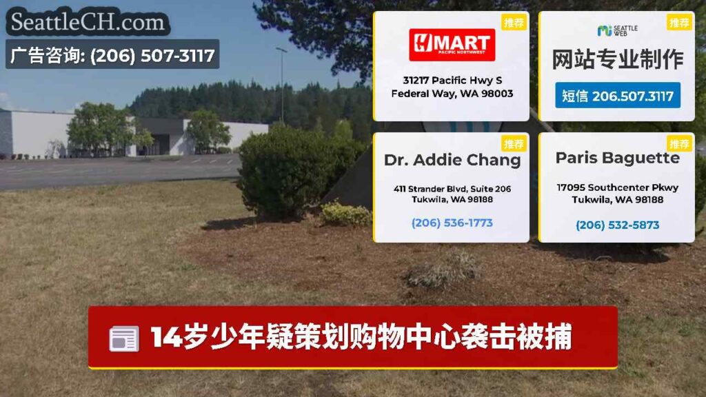 14岁少年疑策划购物中心袭击被捕