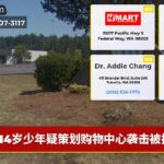14岁少年疑策划购物中心袭击被捕