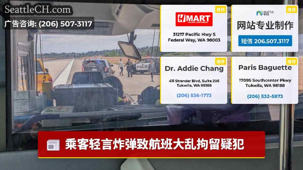 乘客轻言炸弹致航班大乱拘留疑犯