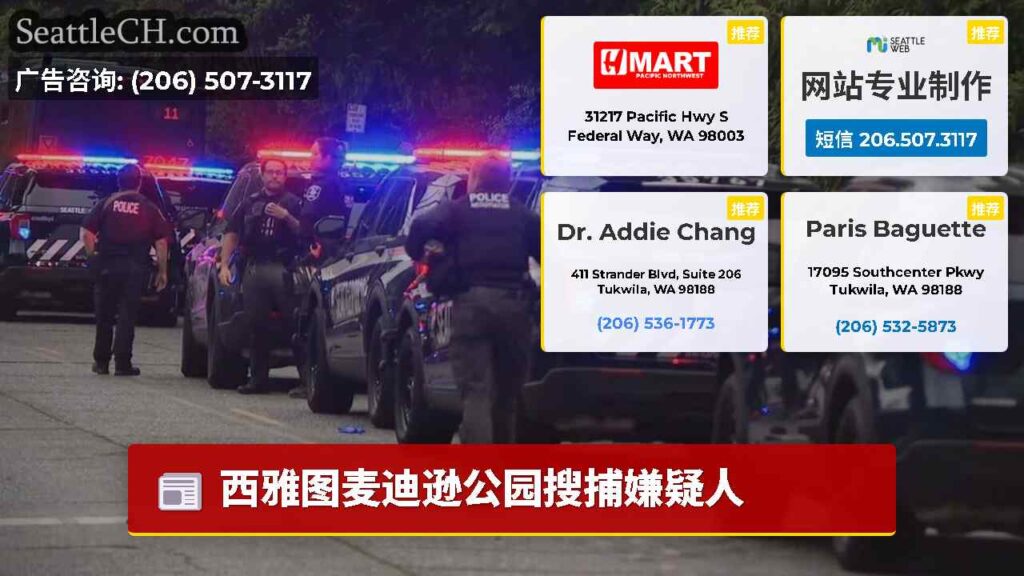 西雅图麦迪逊公园搜捕嫌疑人