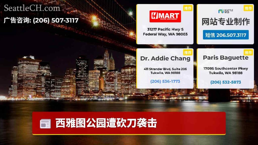 西雅图公园遭砍刀袭击
