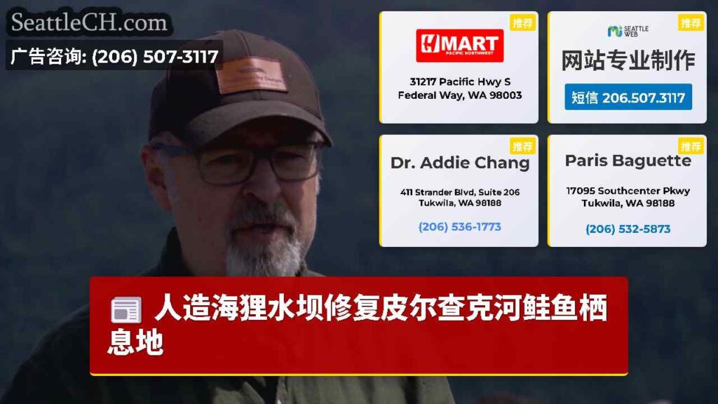 人造海狸水坝修复皮尔查克河鲑鱼栖息地