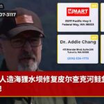 人造海狸水坝修复皮尔查克河鲑鱼栖息地