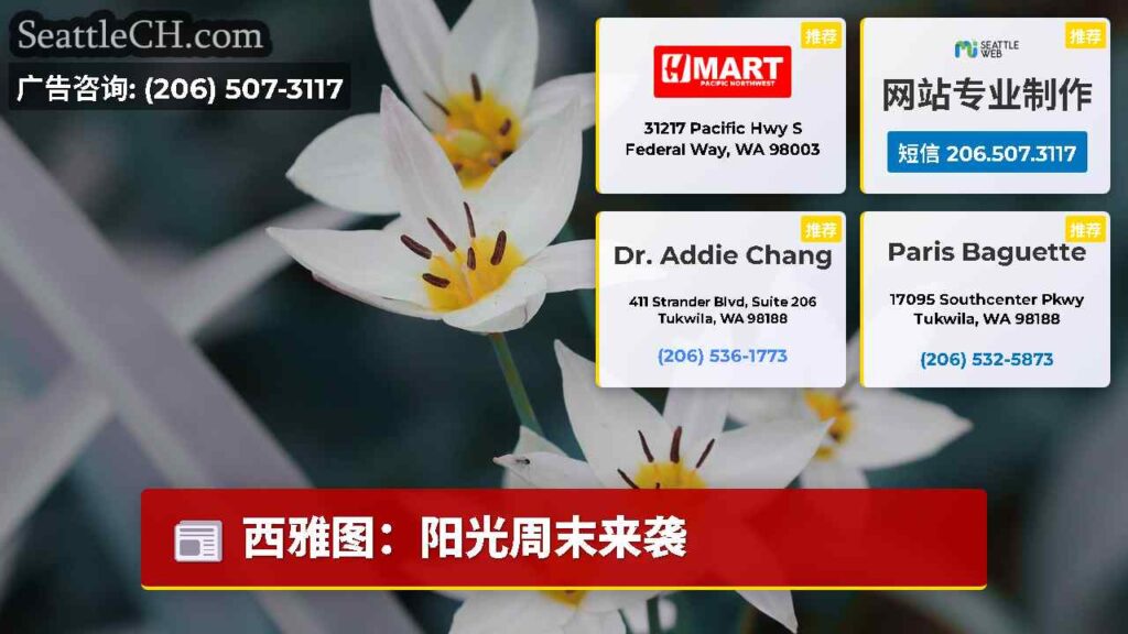 西雅图：阳光周末来袭