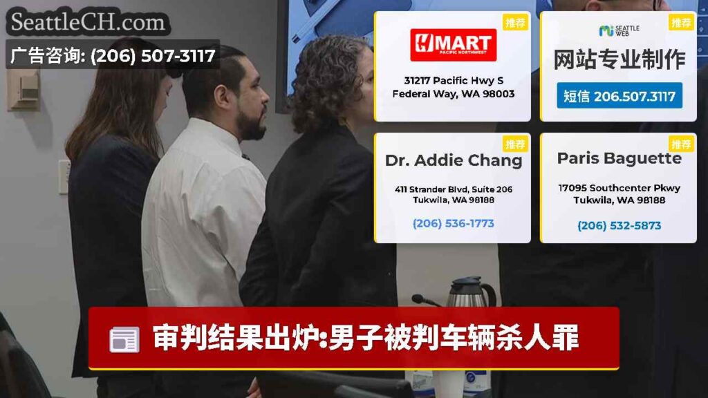 审判结果出炉:男子被判车辆杀人罪