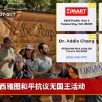 西雅图和平抗议无国王活动