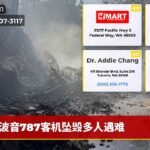 波音787客机坠毁多人遇难