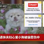 退休夫妇心爱小狗被偷悲伤中