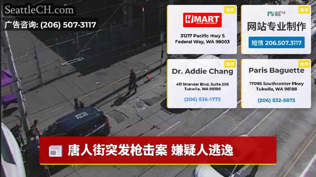 唐人街突发枪击案 嫌疑人逃逸