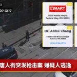 唐人街突发枪击案 嫌疑人逃逸