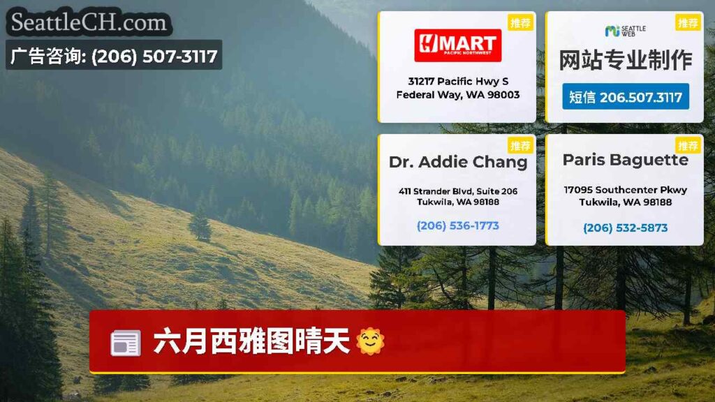 六月西雅图晴天🌞