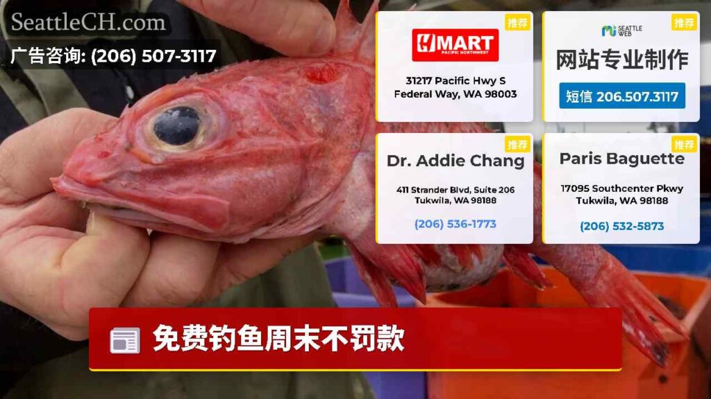 免费钓鱼周末不罚款