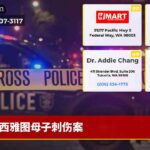 西雅图母子刺伤案