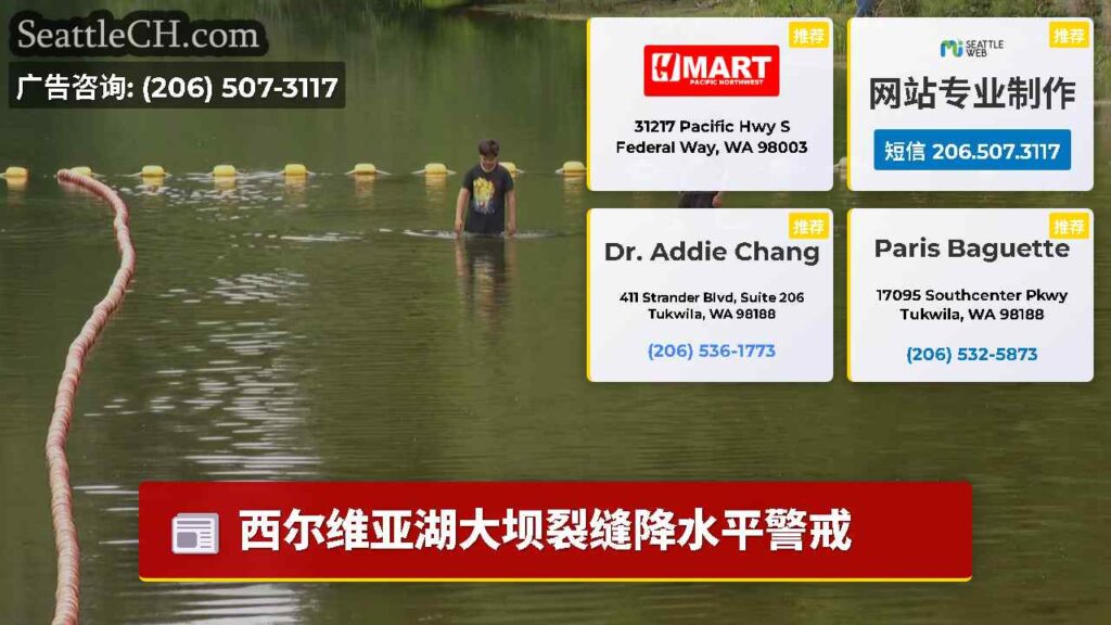 西尔维亚湖大坝裂缝降水平警戒