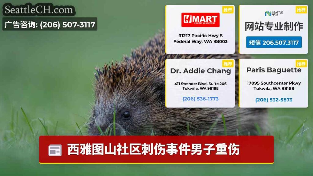 西雅图山社区刺伤事件男子重伤