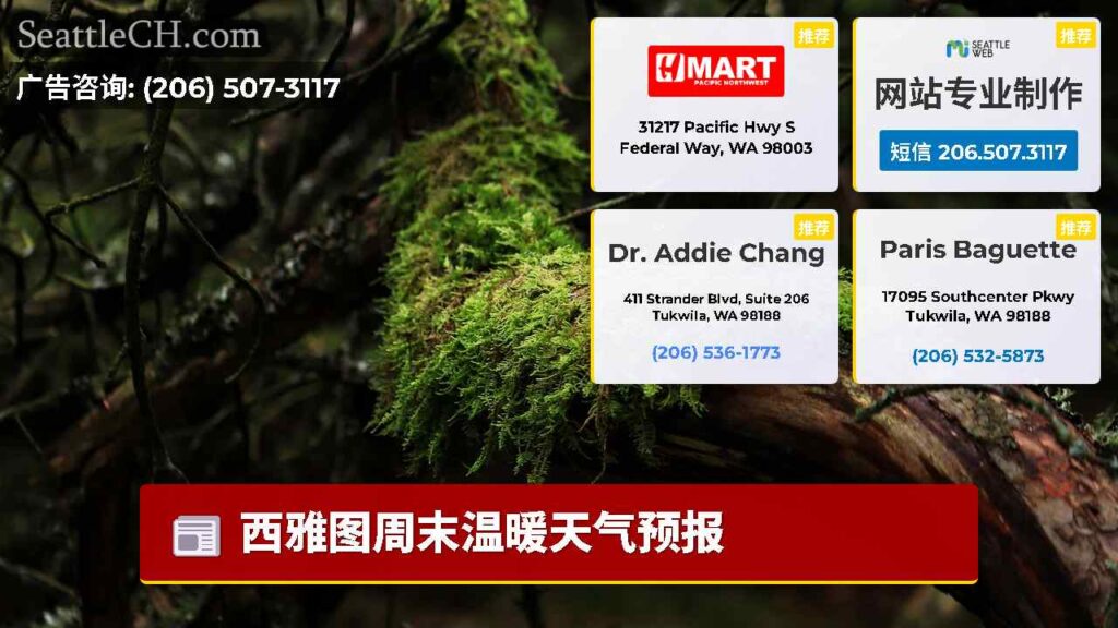 西雅图周末温暖天气预报