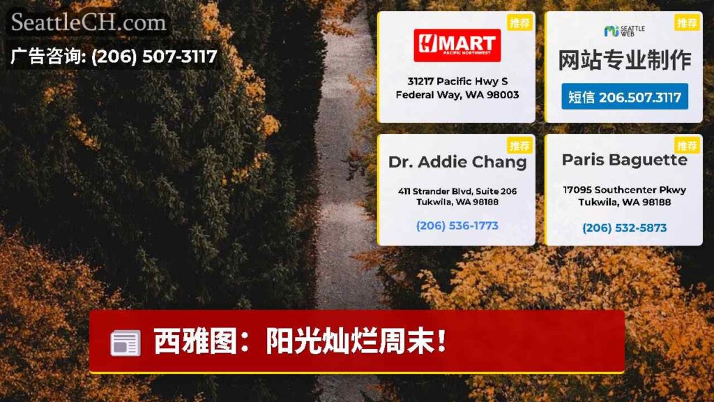 西雅图：阳光灿烂周末！