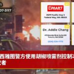 西雅图警方使用胡椒喷雾剂控制冰上抗议者