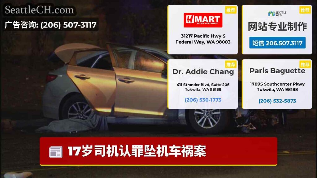 17岁司机认罪坠机车祸案