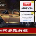 17岁司机认罪坠机车祸案