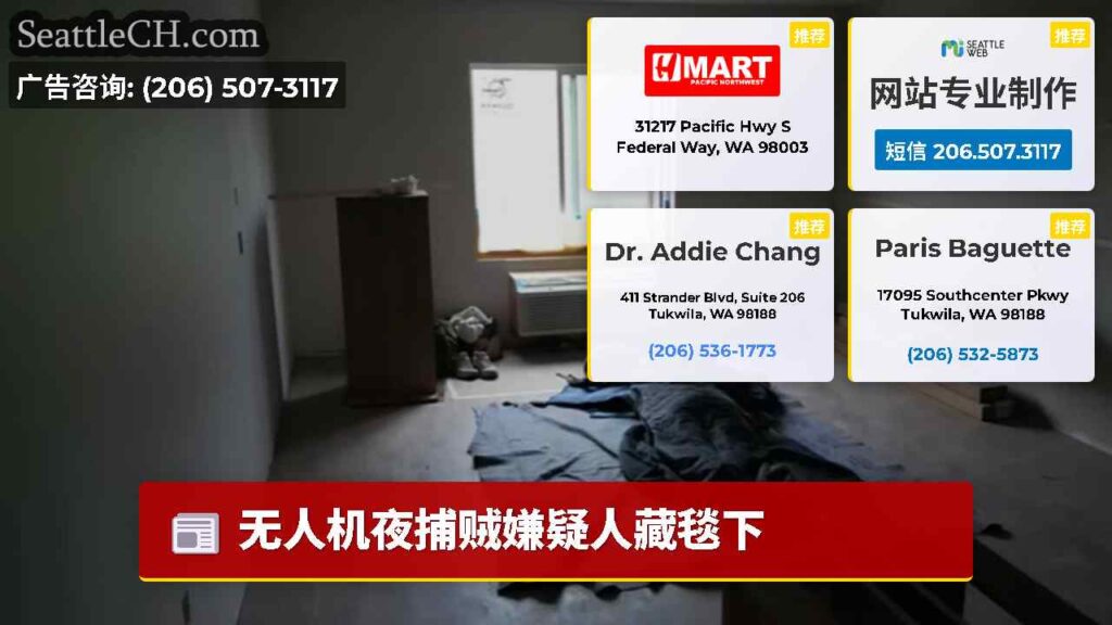 无人机夜捕贼嫌疑人藏毯下