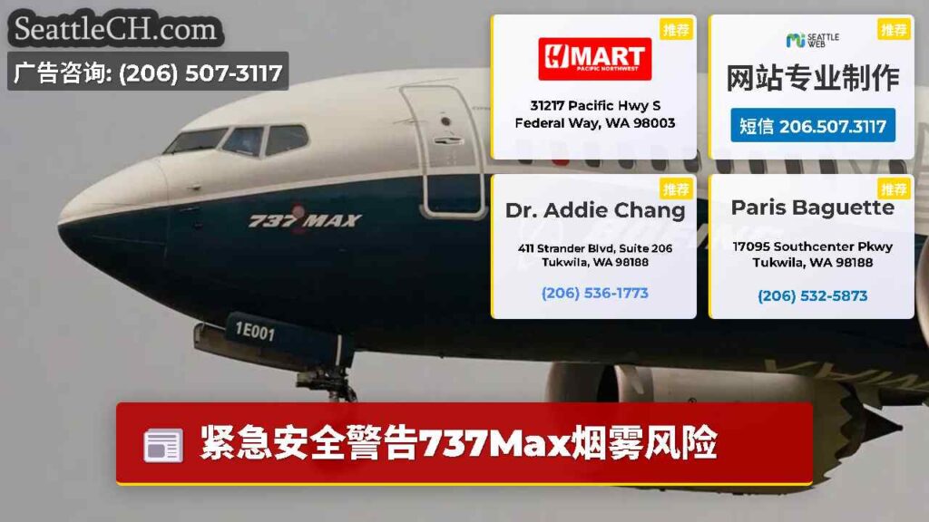 紧急安全警告737Max烟雾风险