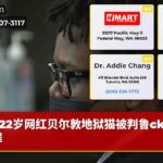 22岁网红贝尔敦地狱猫被判鲁ck驾驶罪