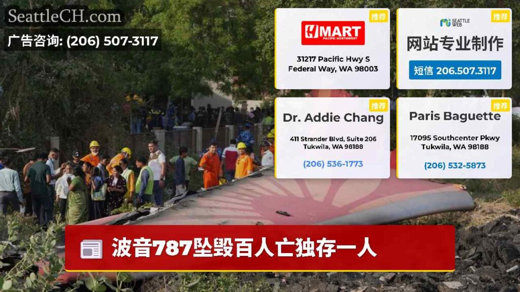 波音787坠毁百人亡独存一人