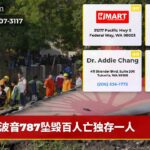 波音787坠毁百人亡独存一人