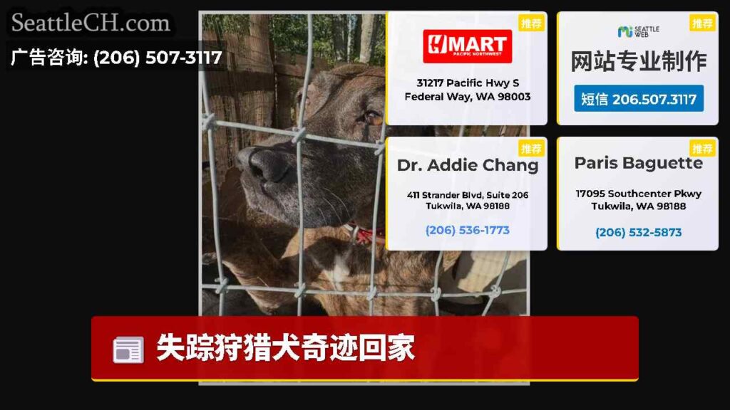 失踪狩猎犬奇迹回家