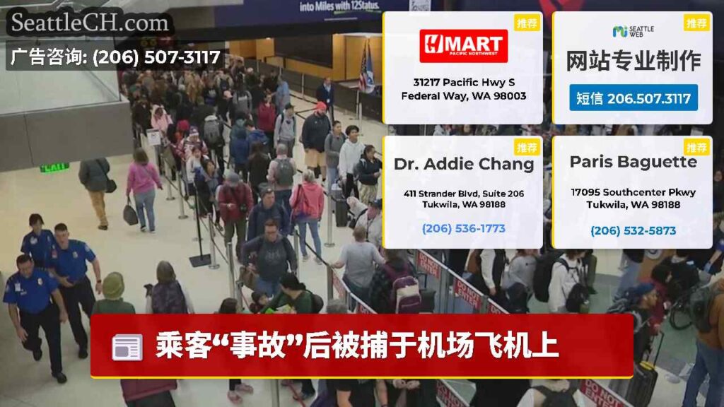 乘客“事故”后被捕于机场飞机上