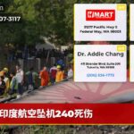 印度航空坠机240死伤