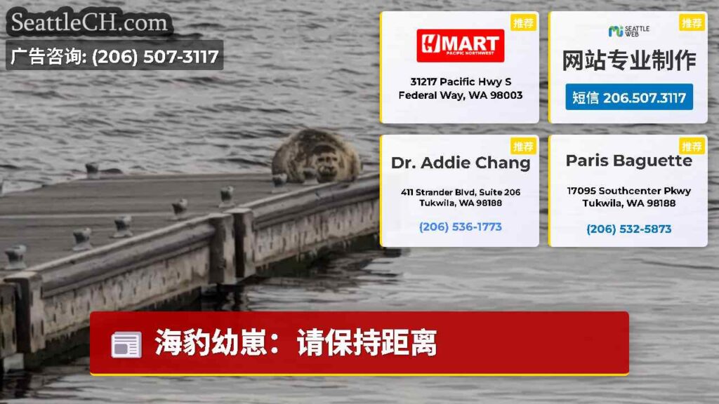 海豹幼崽：请保持距离